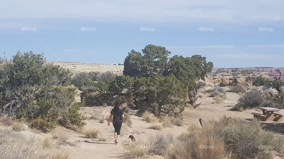 Desert Hike