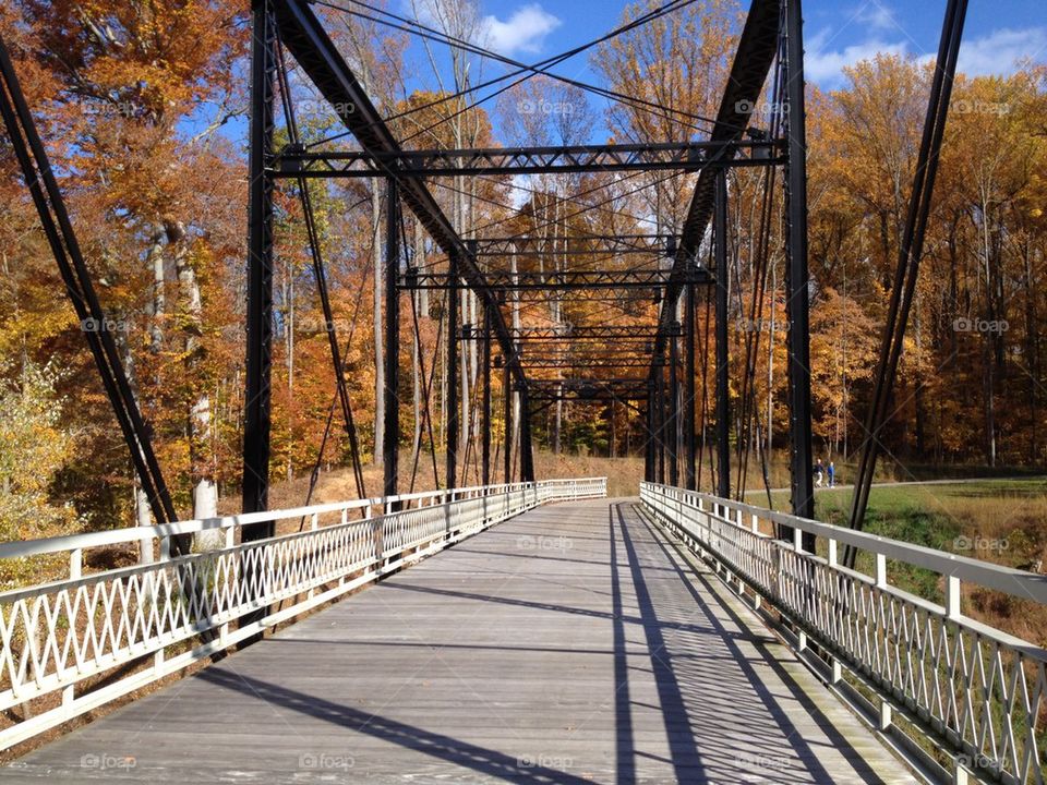Autumn bridge