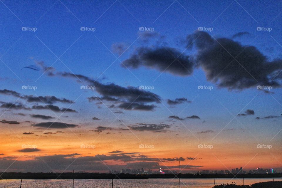 Captivated by Nature ❤️