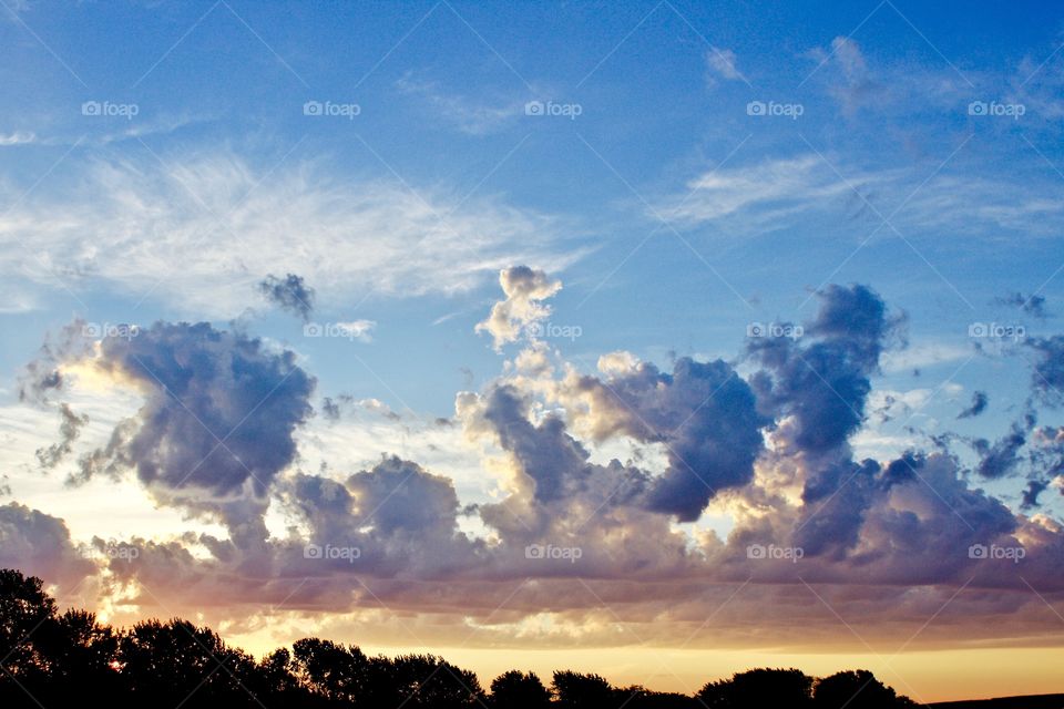 A brilliant sky over a tree-lined horizon with colorful, low-level, cumulous clouds 