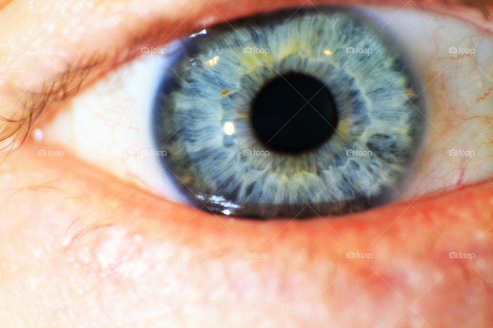 Reverse Macro of Blue Eye