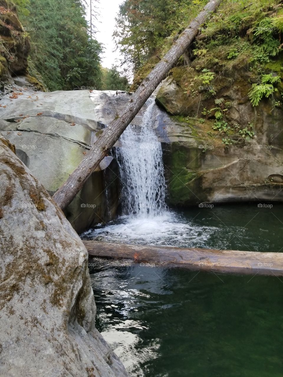 North Cascades Waterfall
