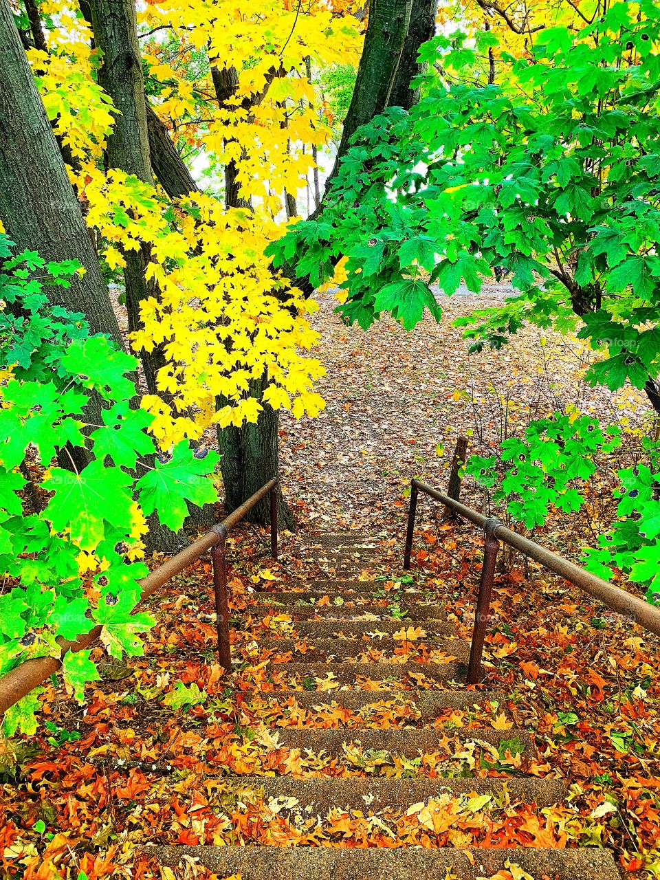 Autumn’s Pathway 