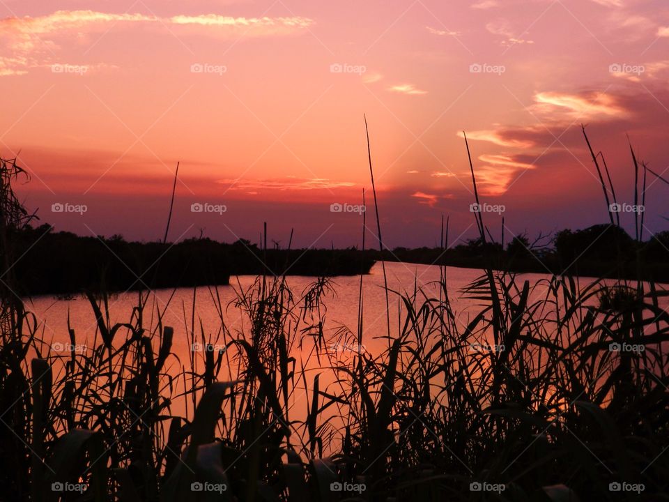 The Golden Hour. Sunsets in Sunny Florida 