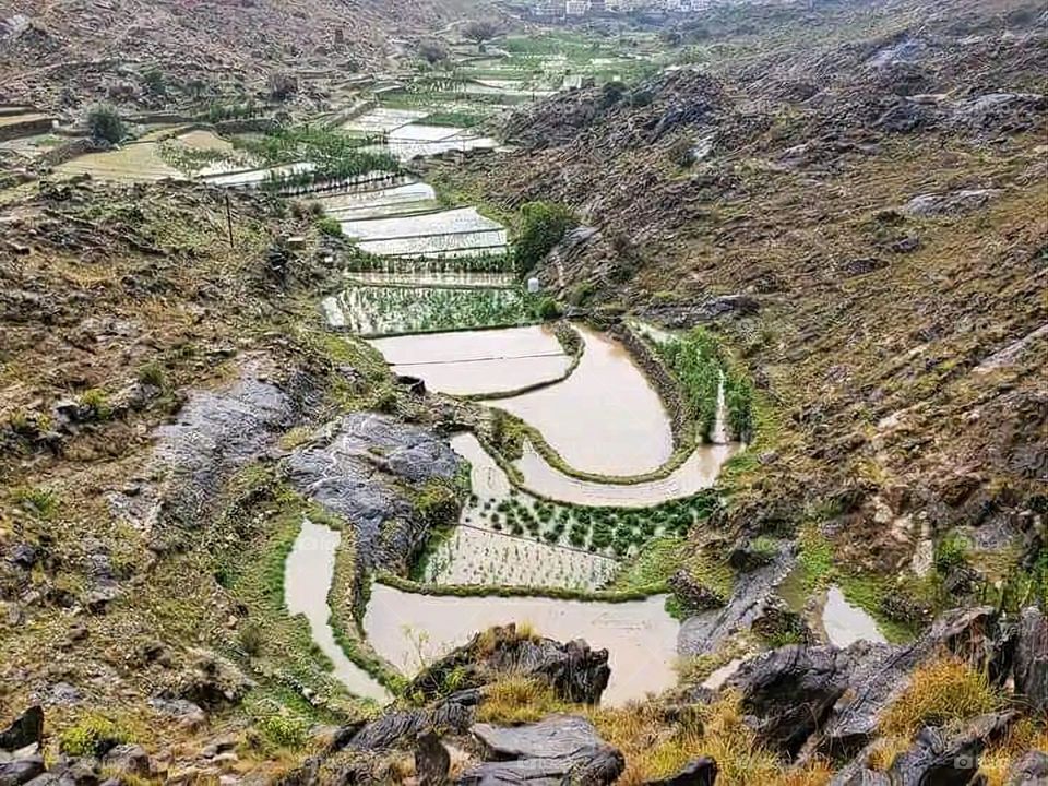 Glory be to God, the magnificent and picturesque view and the natural green trees are a view that is nothing more wonderful than it