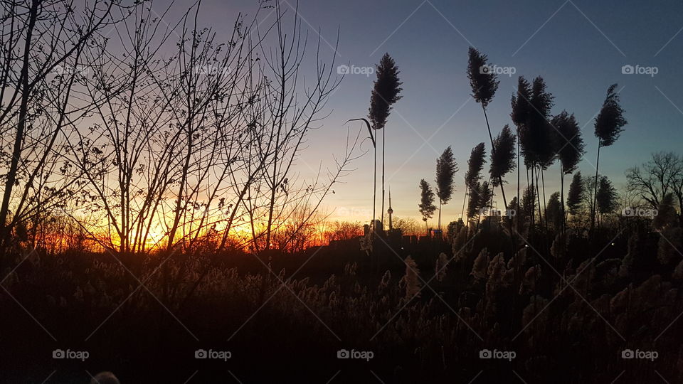 Sunset, Landscape, No Person, Dawn, Evening