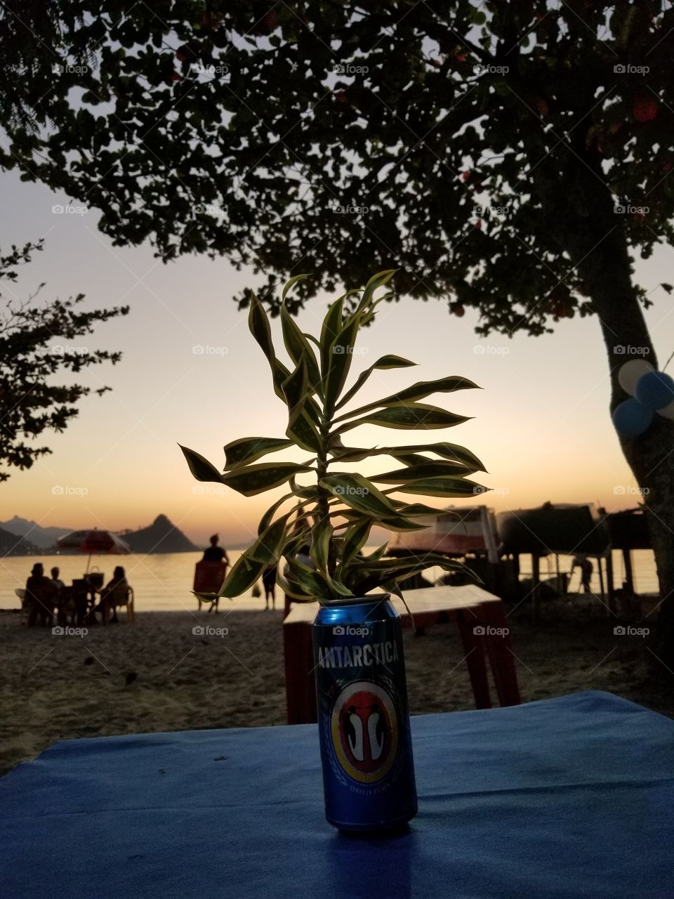 O pôr do Sol.