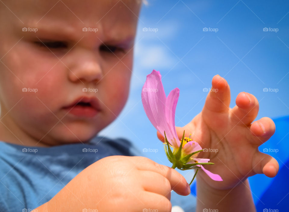 playing with wild flowers
