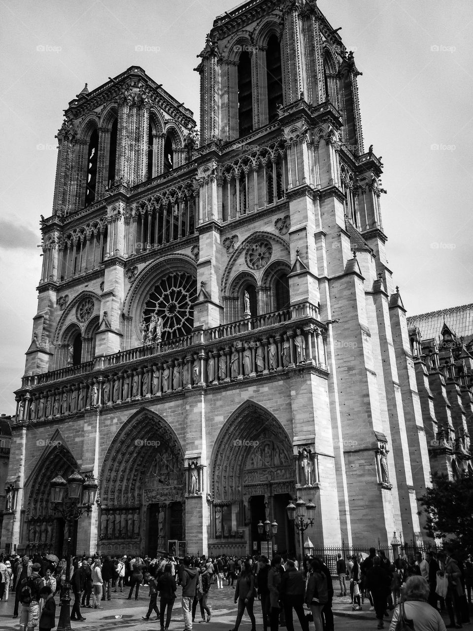 Catedral de Notre Dame (Paris - France)