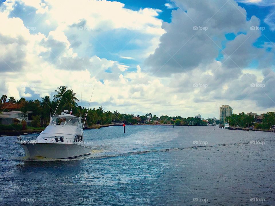 Taken while at a boat tour in Fort Lauderdale, Florida