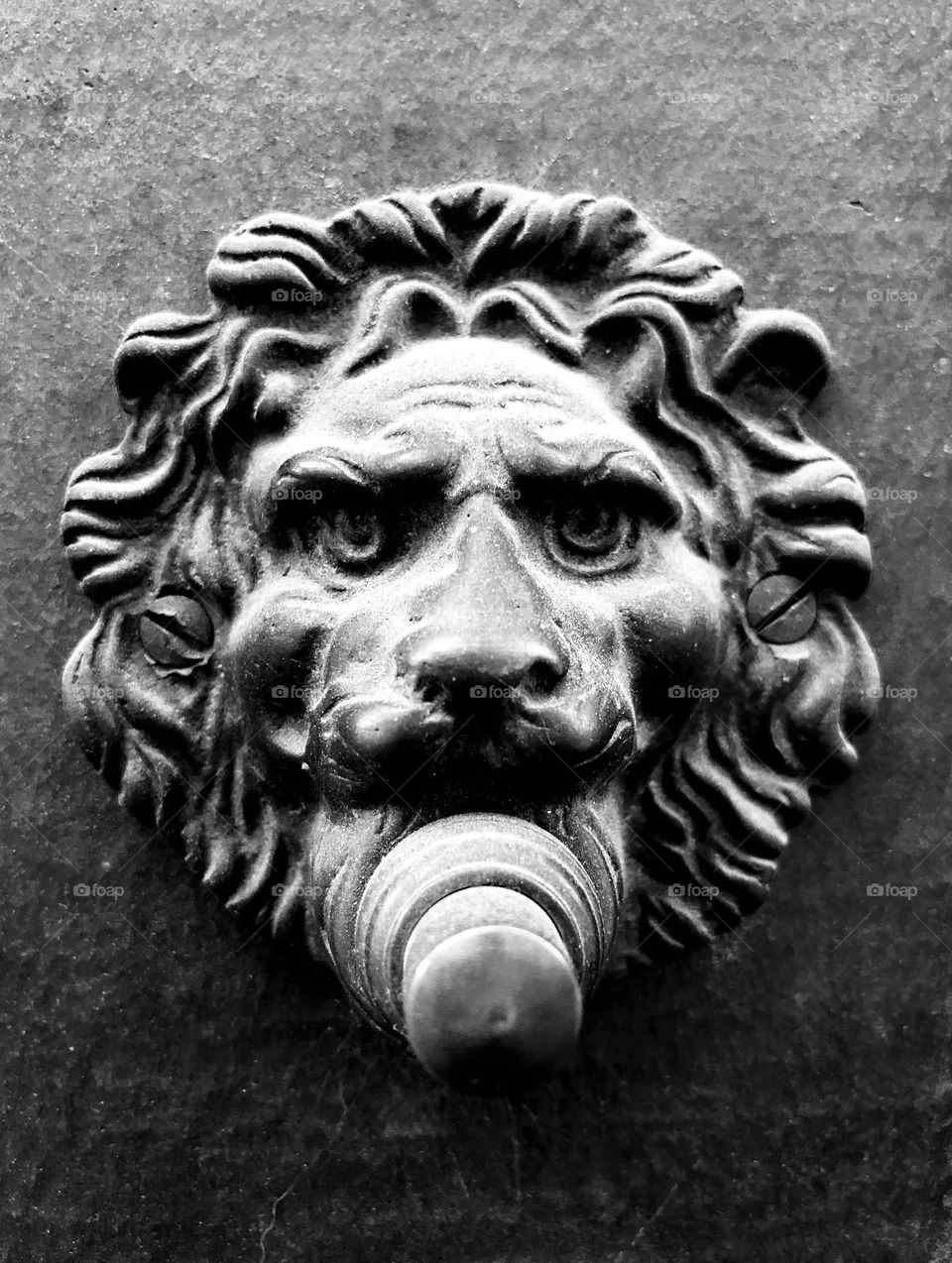 Lion Doorbell in Italy 