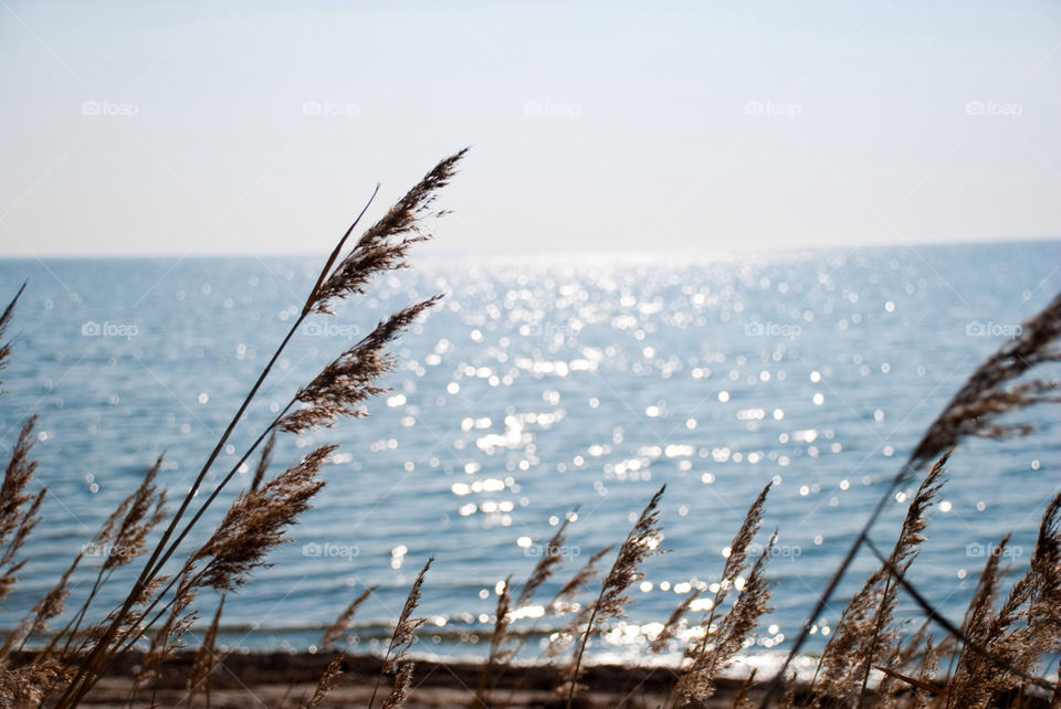 beach nature water natur by jbdc