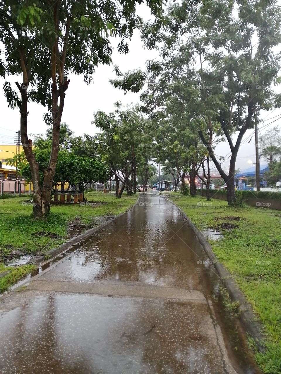 After​ the heavy rain..!