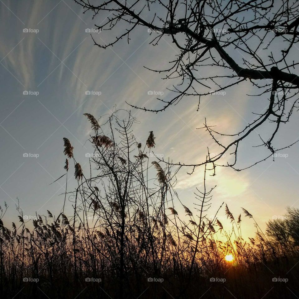 Beautiful spring gift