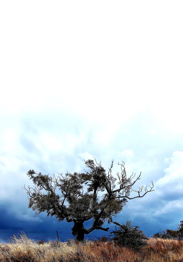 storms in africa