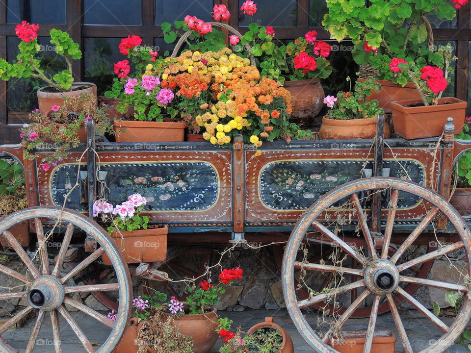 cart with flowers