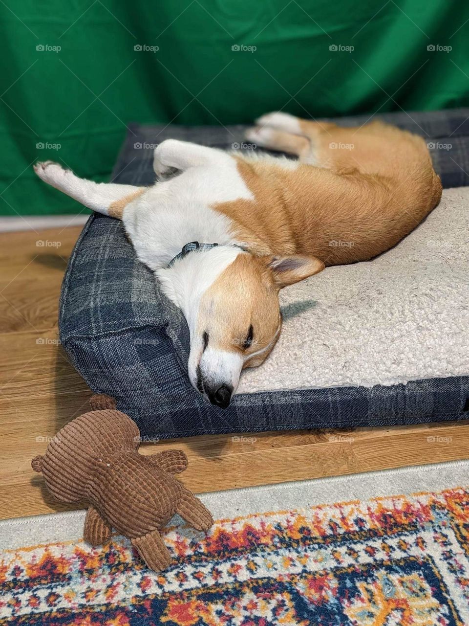 After finished playing !