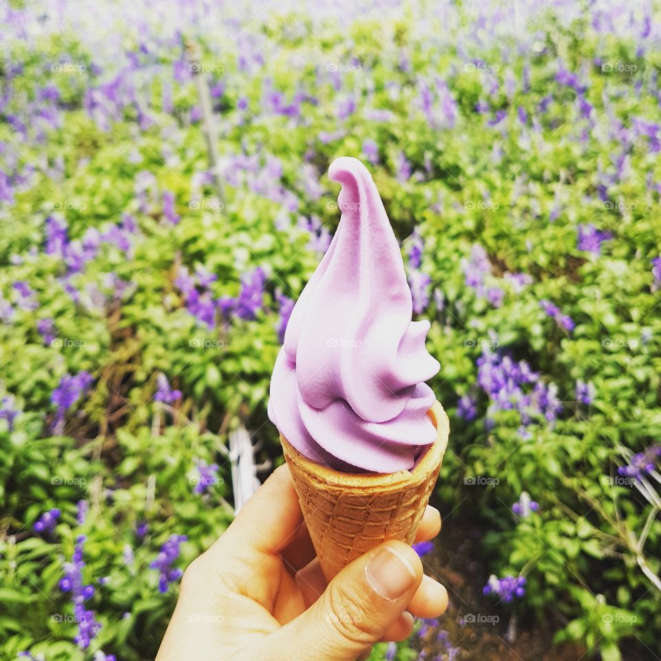 Lavender ice cream