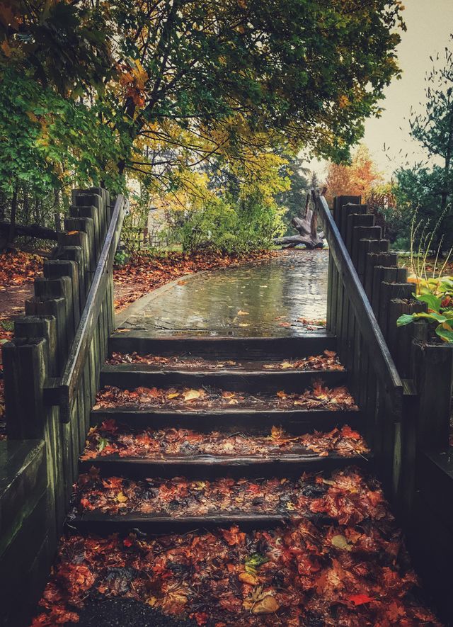 Rainy autumn weather 