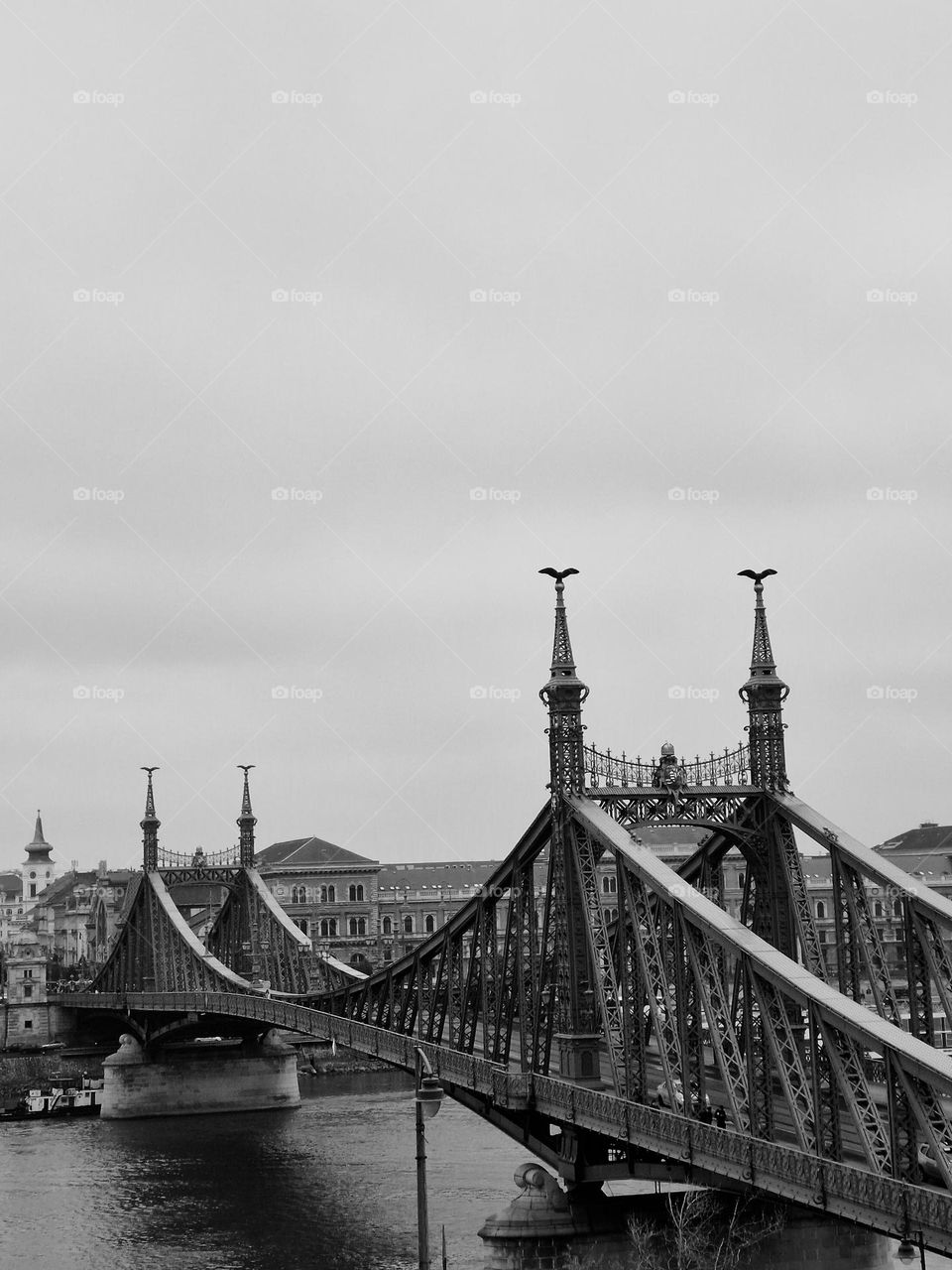 the Liberty bridge from Budapest in black and white