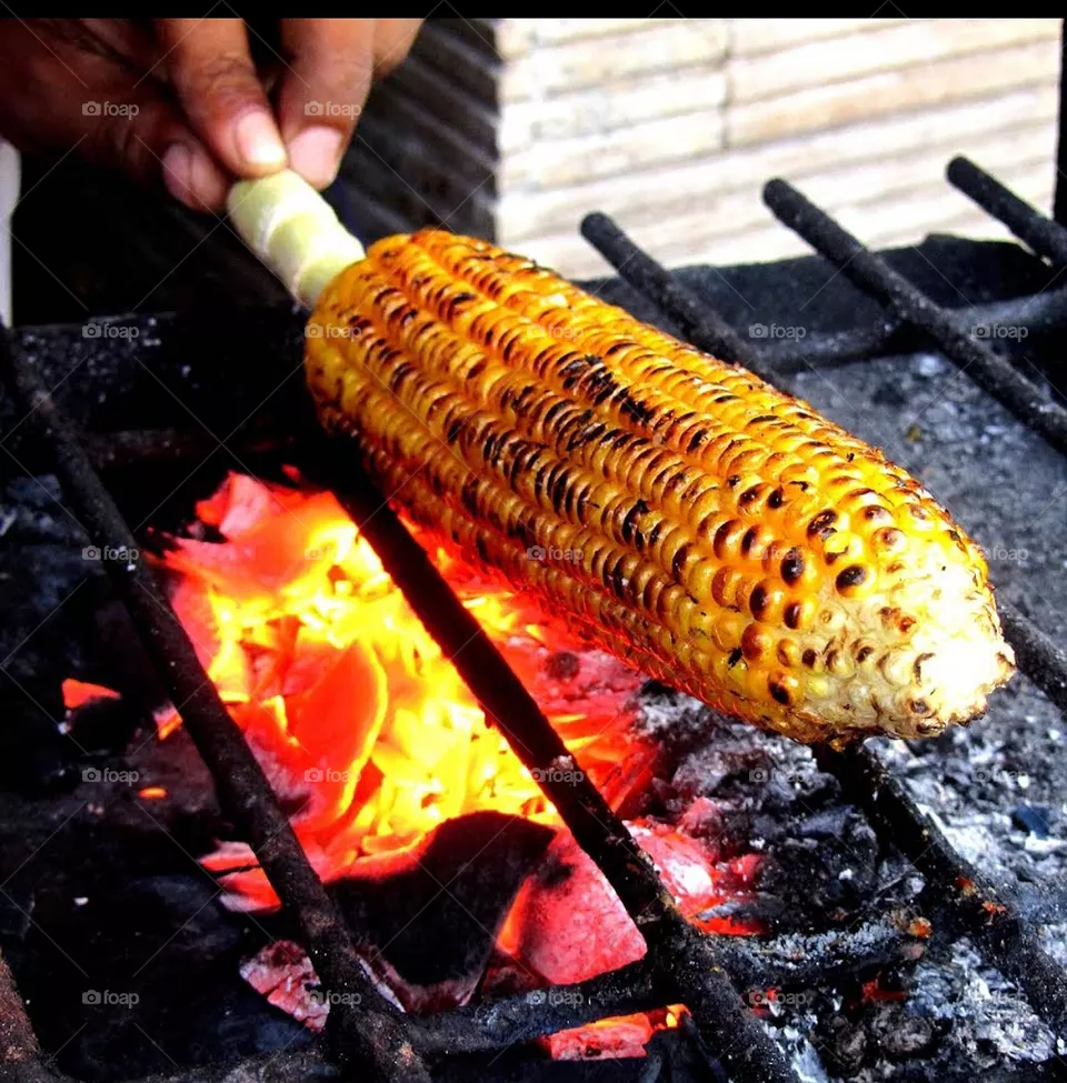 maize