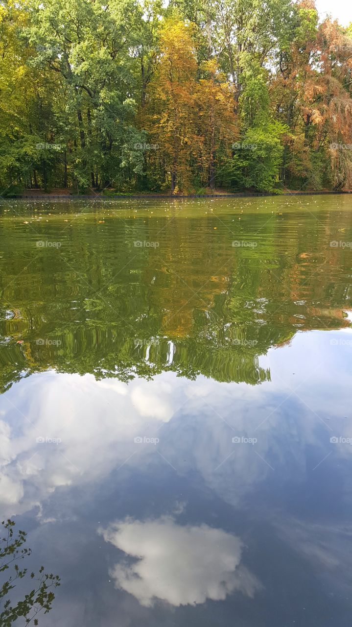 lake with sky