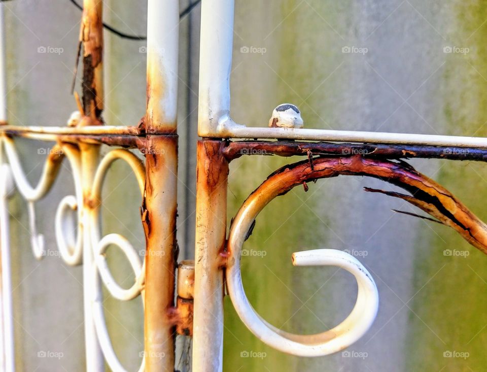 Perfect imperfections