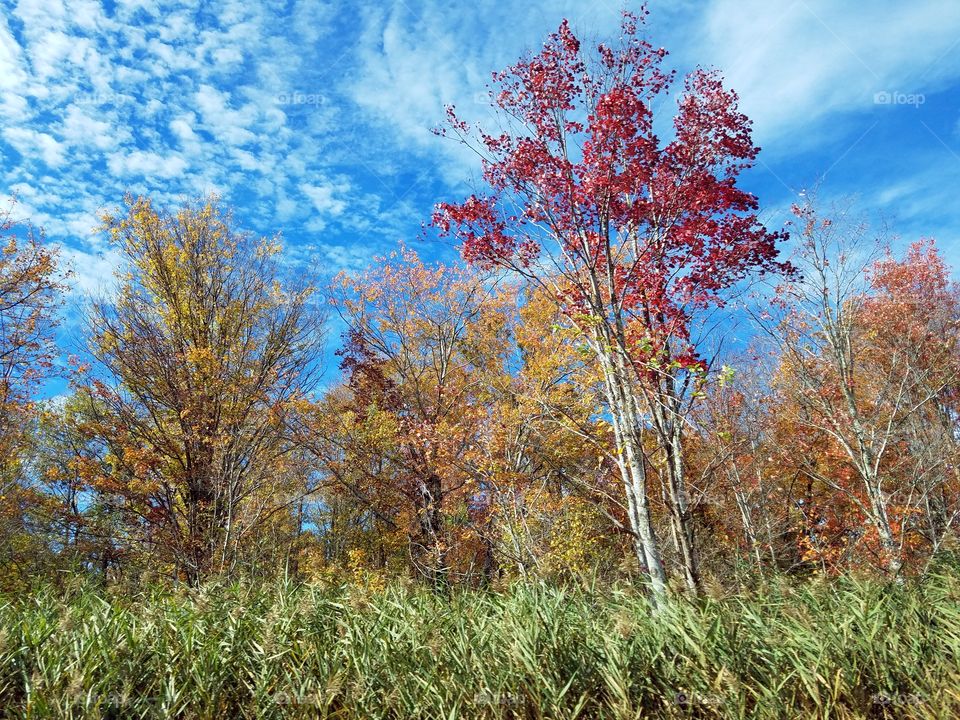 The beautiful fall colors of New England!