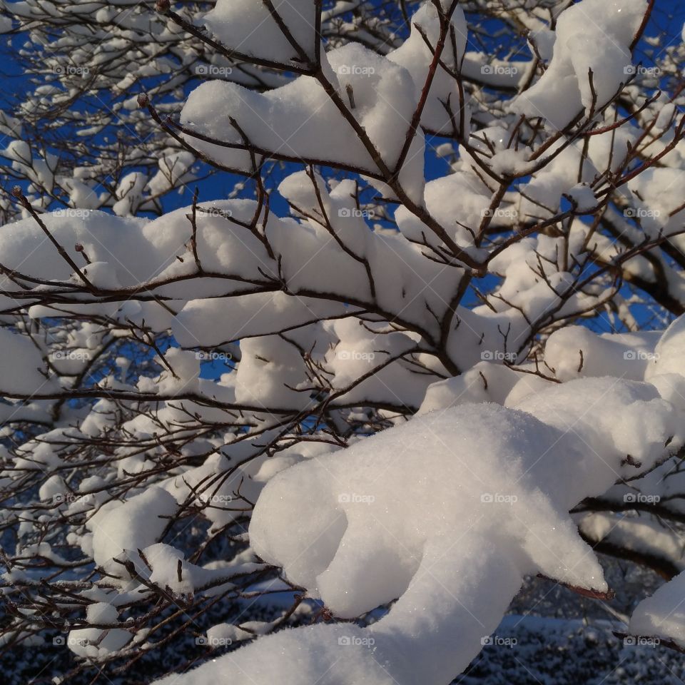 Day after a snow