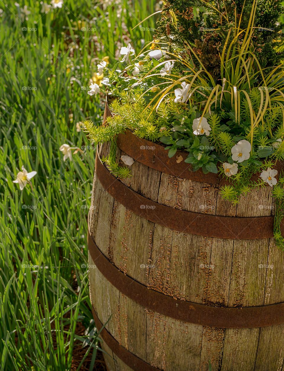 Barrel with plants and flowers surrounded by greenery