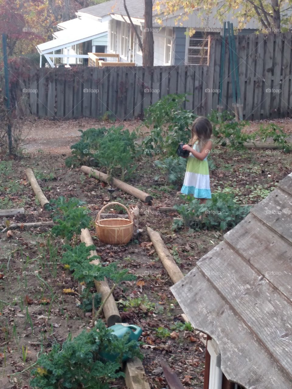 little one helps out with chores in the garden