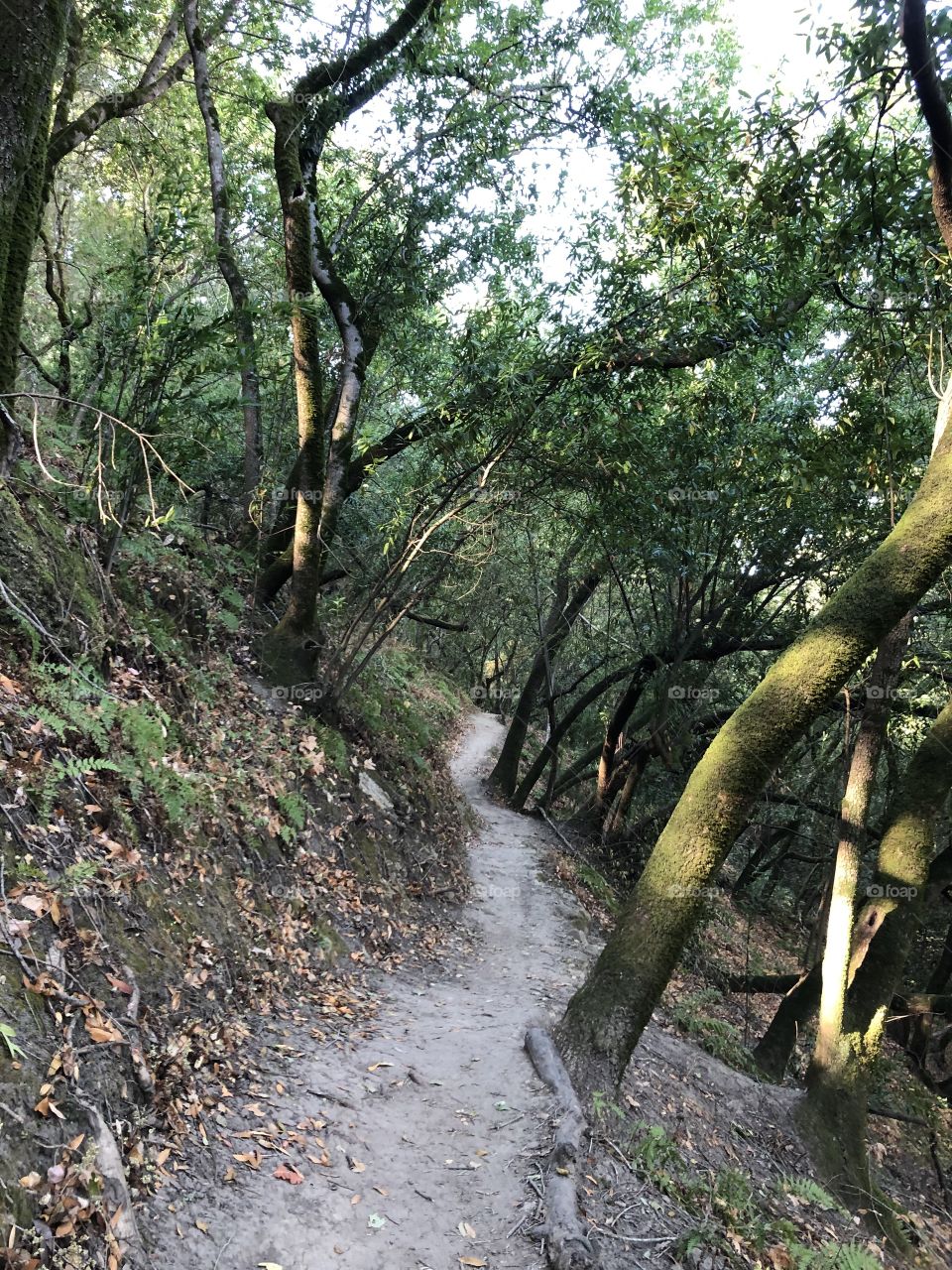 Autumn Hiking in the US VVI