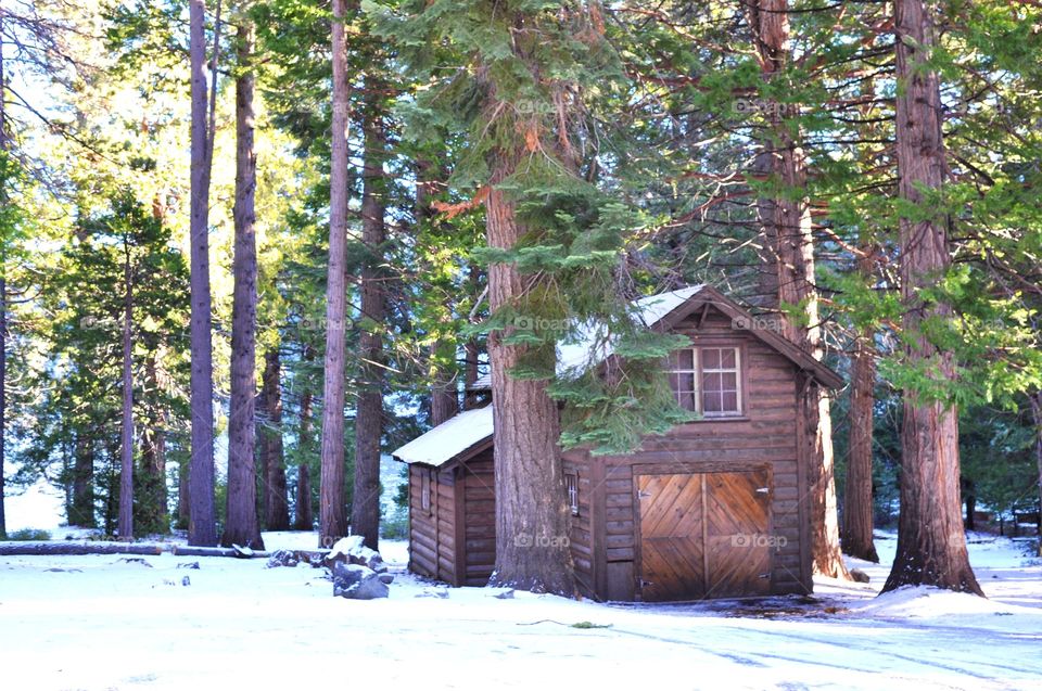 Winter cabin in the woods