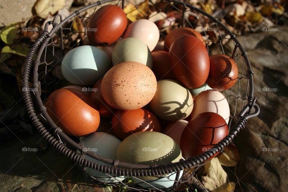 Colorful Eggs
