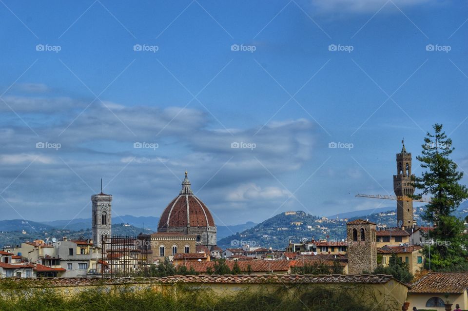 Florencia desde el Palacio Pitti (Florence - Italy)