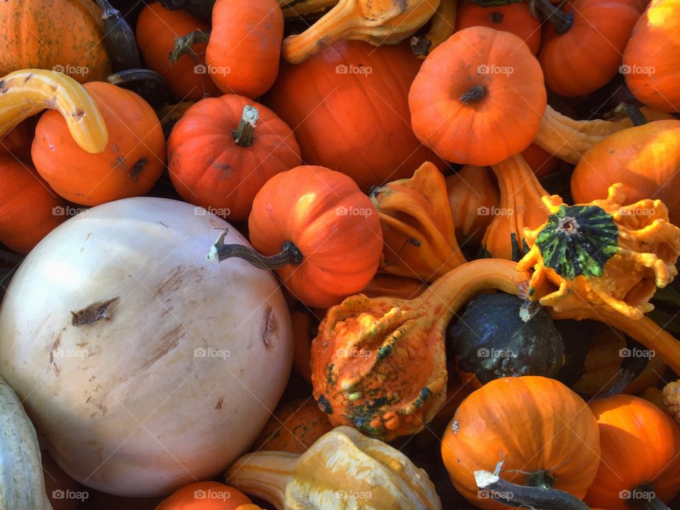 Pumpkins and gords. Took the photo at a market