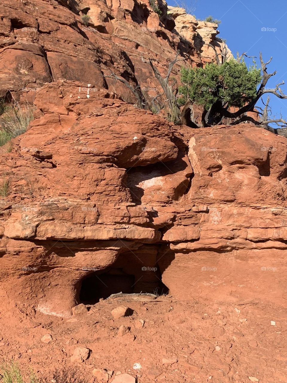 Perfect combination of life.