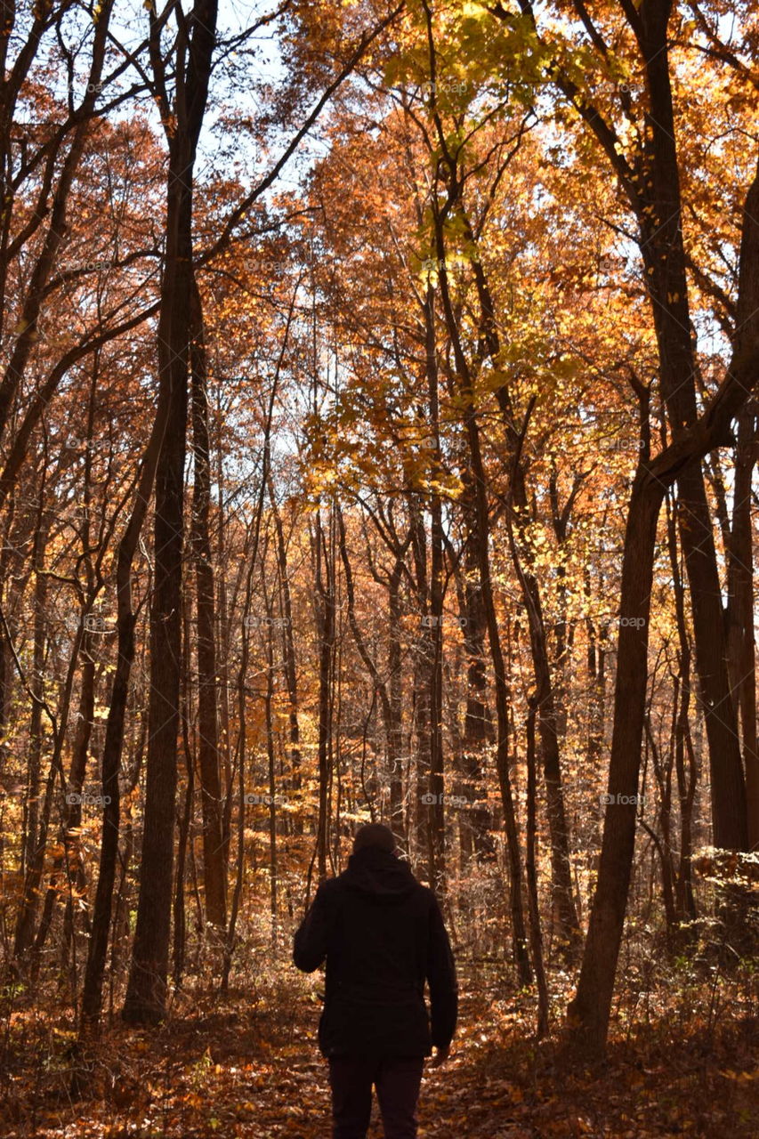 Man walking through the woods during the fall