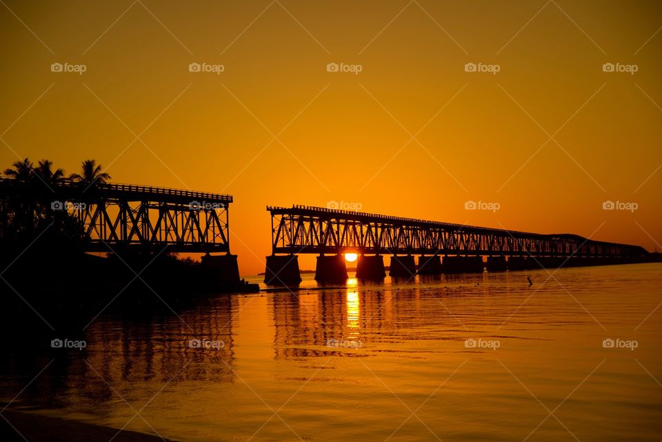 Golden hour at the bridge 