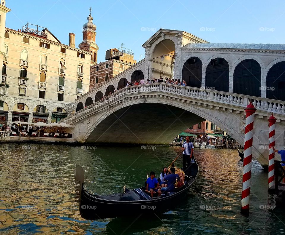 Venice rialto