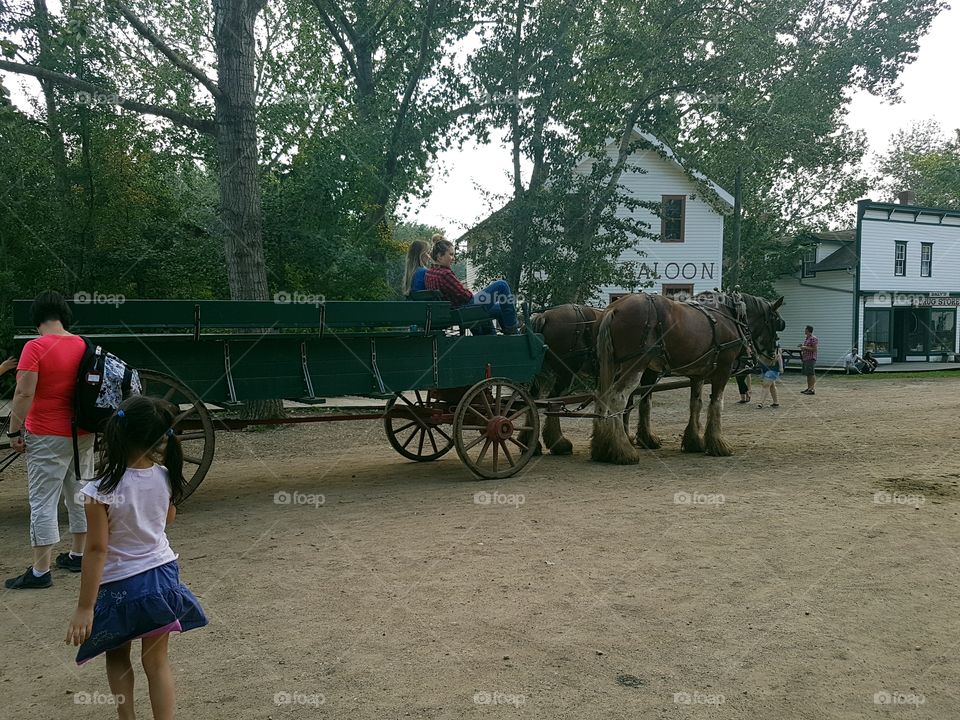 Fort Edmonton Park - Buggy Ride