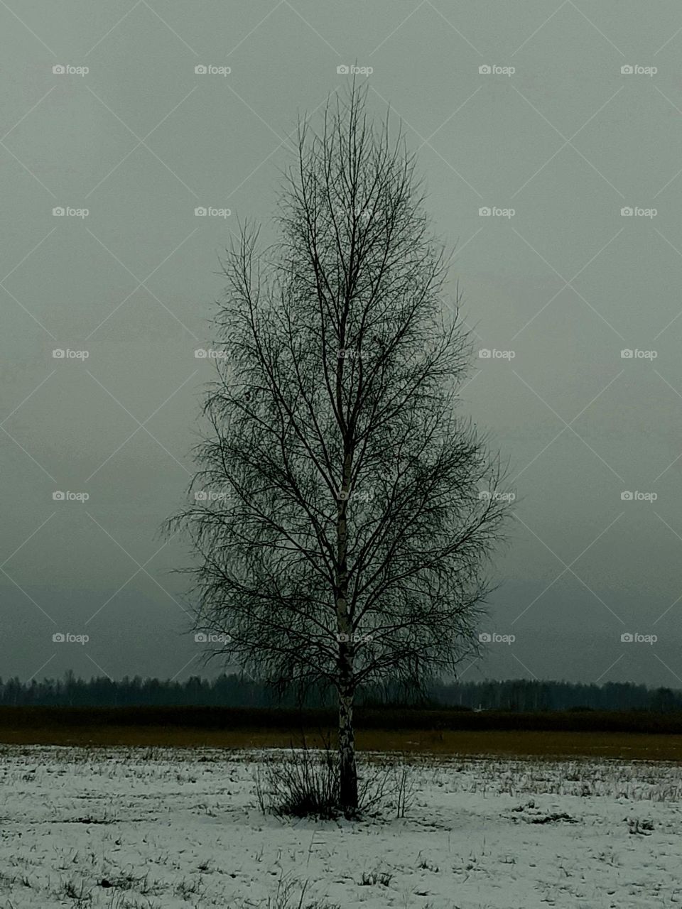 Одиночество