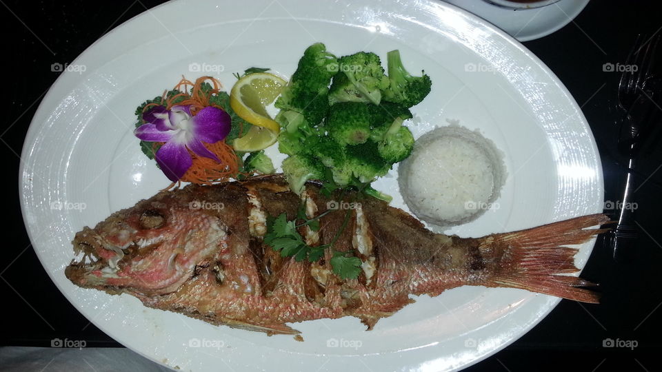 Snapper special Thai Spice restaurant Fort Lauderdale July 2017