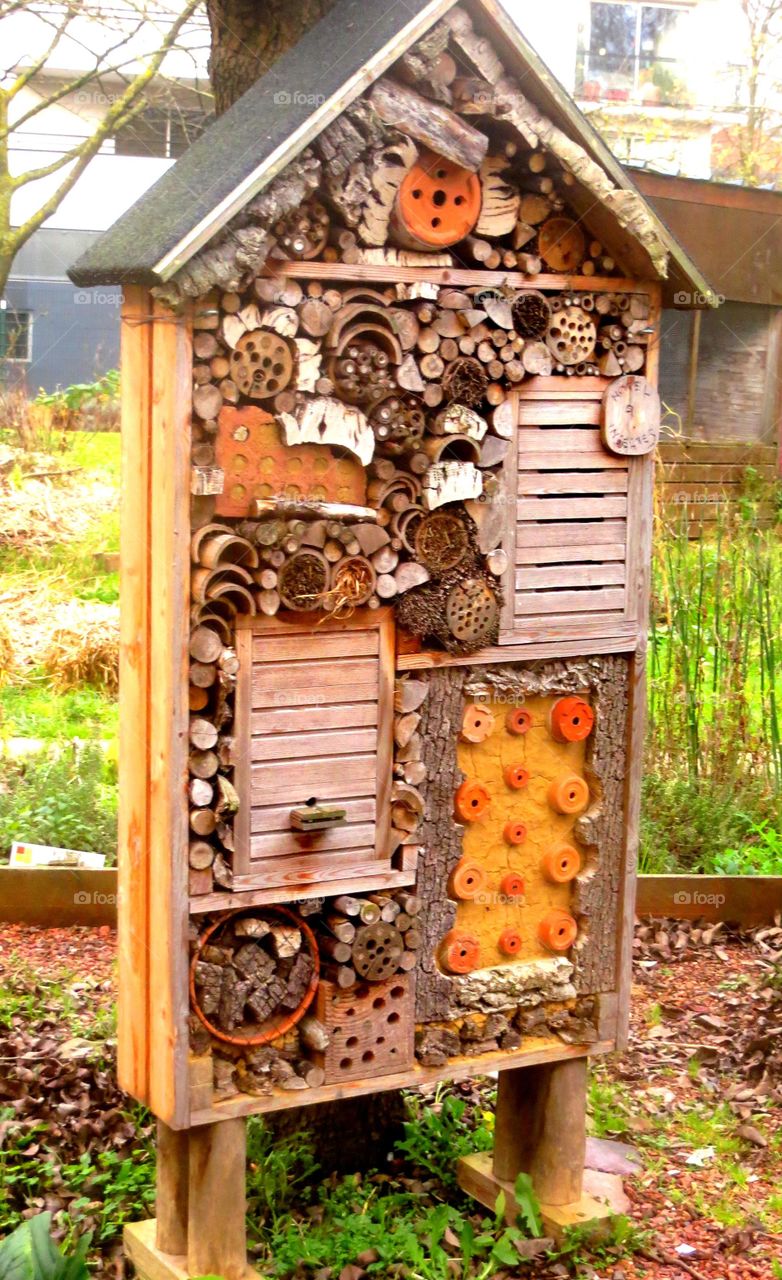 insect hotel