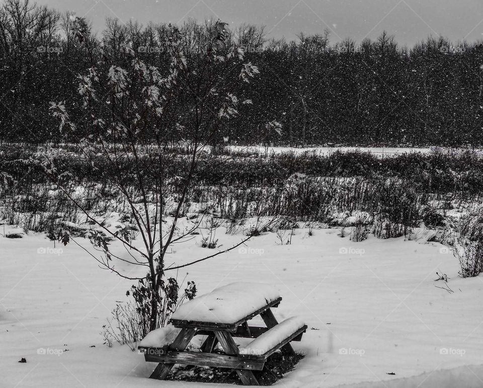 picnic bench covered in snow