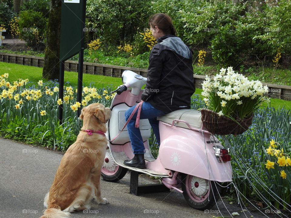 Testing a Wedding Vespa