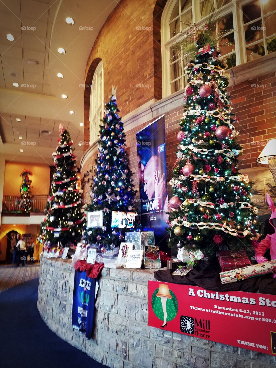 Christmas tree display 