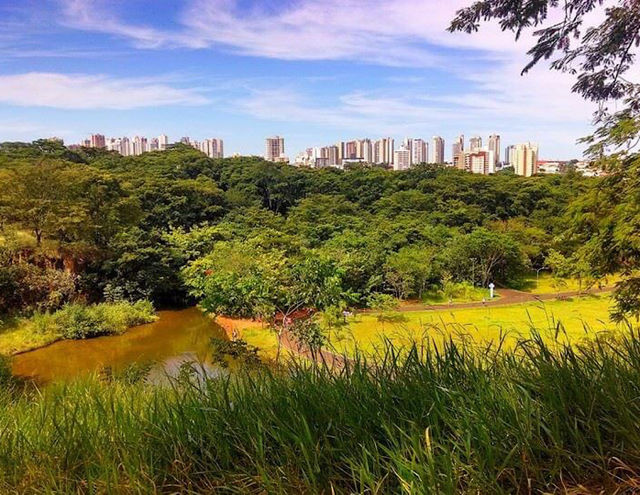Ribeirão Preto 