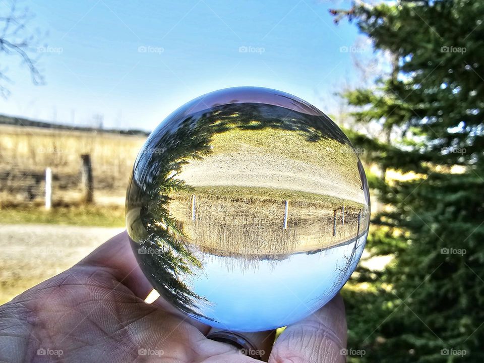 Crystal ball Alberta farmland