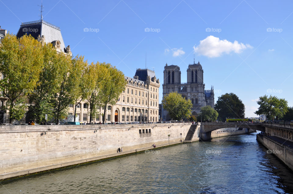 Autumn view and Notre dame  